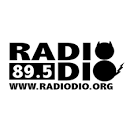 Radio DIO 89.5 FM